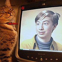 Photo effect - Smug Cat