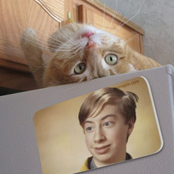 Photo effect - The playful kitty in the room