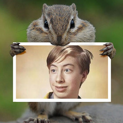 Photo effect - Rodent eating your photo