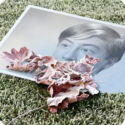 Photo effect - First early frost fetters the earth