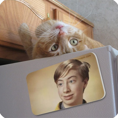 Photo effect - The playful kitty in the room