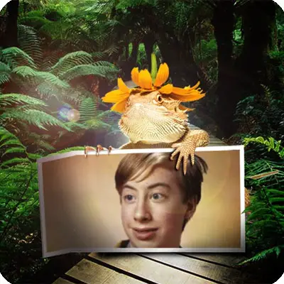 Photo effect - Yellow iguana in tropical forest